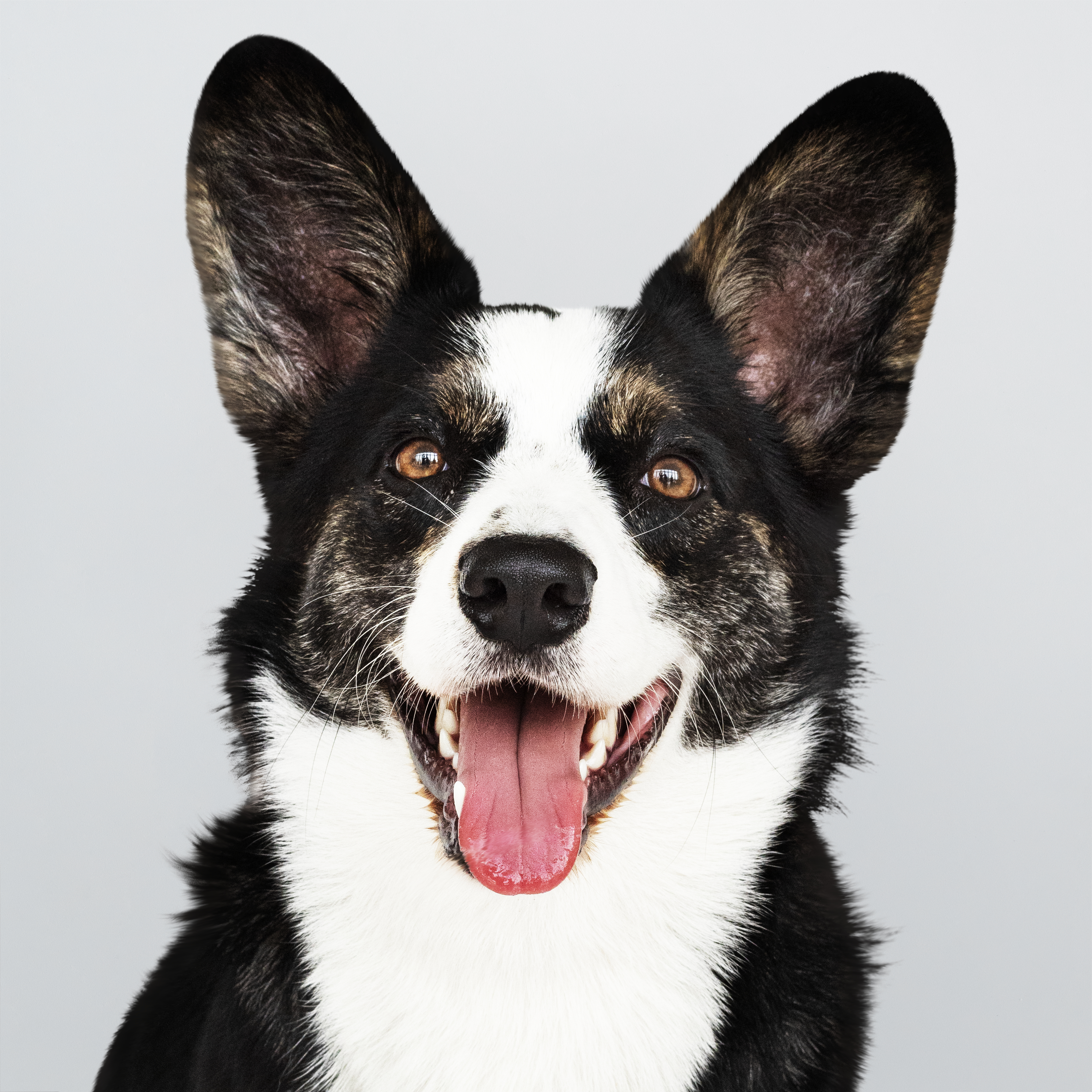 Ben