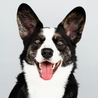 Ben